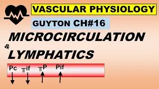 Physiology Guyton Ch#16 | Microcirculation & Lymphatics | Capillary Exchange | Lymph Flow