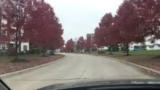 Fall colors Ohio