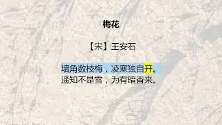 MeiHua - Wang Anshi - Chinese Ancient Poetry in Pupil Textbook- 14