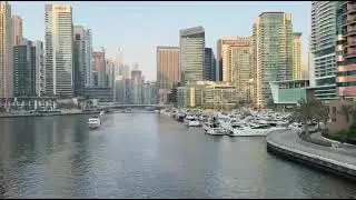 Dubai Jumeirah beach Good morning 