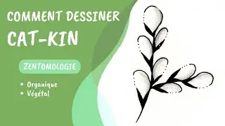 Comment dessiner le tangle Cat-kin ?