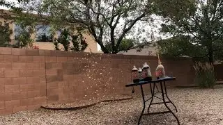 Spangler Science Box: Geysers