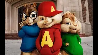 MUSICA LEGGERISSIMA | CHIPMUNKS | Colapesce, Dimartino