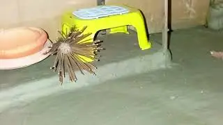 ছোট মাটির রান্নাঘরকে সাজিয়ে নিলাম #minivlog #minikitchen #foodvideos 