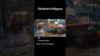 #Fish Market in Philippines #phillipines