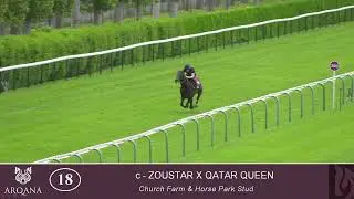 2023 Breeze Up - Lot 18 c. ZOUSTAR x QATAR QUEEN