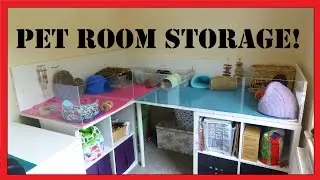 STORAGE SOLUTIONS:  Pet Room and Craft Room in One!