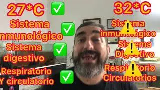 Tutorial para criar bettas en alta temperatura