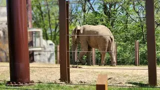 Kansas City Zoo 2023