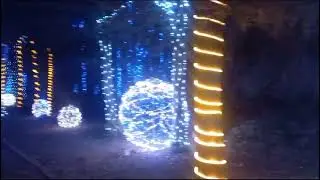 Cerro de las Luces Jumiltepec, Morelos; México.