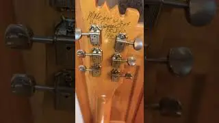 白のモズライト