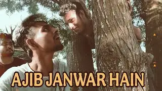 Aajob kando gasor upre kita kore e manush tai