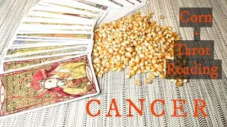 CANCER♋It's Your Time To Shine! AUGUST 22nd-28th