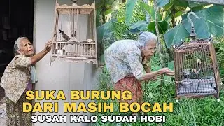 Manfaat Pelihara Burung yang Jarang di Ketahui Banyak Orang