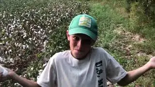 Scouting for hogs