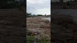 Swabi Topi Flood Today