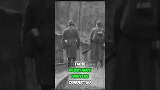 Polish Underground Army: WWII Resistance Against the Nazis