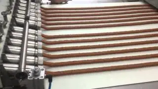 Dry apricot extrusion Centerfilled bar line www.neofood.de/Intellestamp Extruder