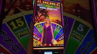 Wheel of Fortune GOLD COIN 🪙 BONUS #slot #pokies #casino #jackpot #wheelbonus #slots ￼