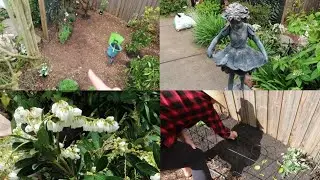 Part 4 Mini Orchard Transformation🌸Final Planting+Meet Our Enchanting New Helper🌿#garden #slowliving