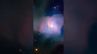 Funny Owl Nebula In Deep Outer Space
