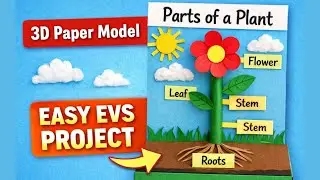 Parts of a Plant &ndash; 3D Paper Model | Easy EVS Project | Science TLM
