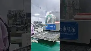 #mochi #ricecake Mochi Rice Cake Encrusting Liquid Spreading Powder Coating Machine Line