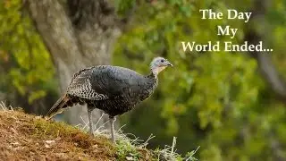 The Day My World Ended, Thanksgiving 2012,   by Bill Klipp, www.wkimages.net