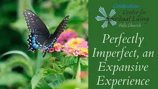 Perfectly Imperfect, an Expansive Experience