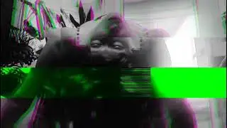TRACH N' BERG - Paranoje