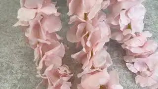 свисающие цветы 