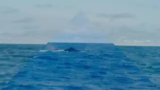 This is Ecuador,  whale watching