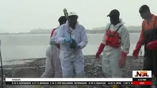Mangrove Restoration Initiative in Ogoni Land a Viable balance for Environmental Degradation | NTA