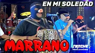 GRUPO MARRANO ( En Mi Soledad ) En Vivo Tonche Live