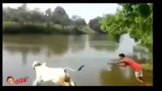 MadVine #3 Fail Vine 2015