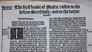 Great Bible Reading:  Genesis 1-6