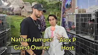 QA with Nathan Jumper Gamefarm World of Gamefowl Day 2 Jan 24,2026 WTC