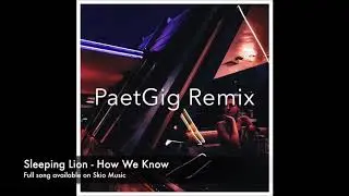Sleeping Lion - How We Know (PaetGig Remix)