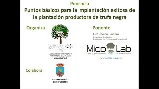 Puntos básicos para establecer una plantación trufera exitosa (ACTUALIZADA)