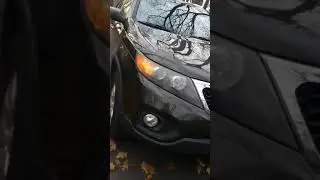 2011 Kia Sorento Panic Alarm