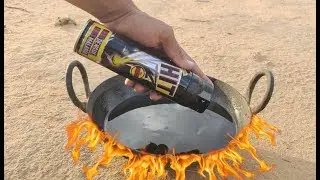Kala Hit vs Hot Oil Experiment || Kala Hit in Hot oil || Experiment King