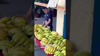 Selling Banana at the market.  #bananafarming #bananafarmer #bananaplantation #profitablefarming
