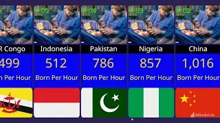Number of Babies Born every hour