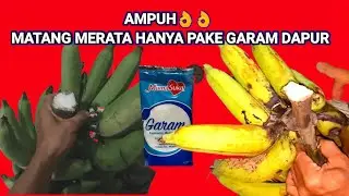 Eksperimen ,cara mematangkan pisang pake garam dapur