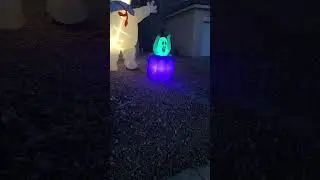 Viva Paws Vegas is live! #dog #goldenretriever #rescuedog #dogwalk #halloween