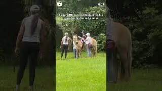 heartwarming moment between young rider and horse during hippotherapy 🤗❤️🐴