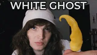 WHITE GHOST PEPPER FROM SHOGUN PEPPERS POD REVIEW