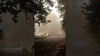 Breathtaking Nature in 15 Seconds | Nature Shorts