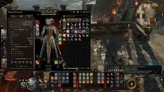 Elaneiros Moontooth | Baldur's Gate 3 Character Showcase
