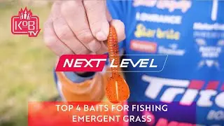 Top 4 Baits for Emergent Grass Fishing with Shaw Grigsby [NEXT LEVEL]